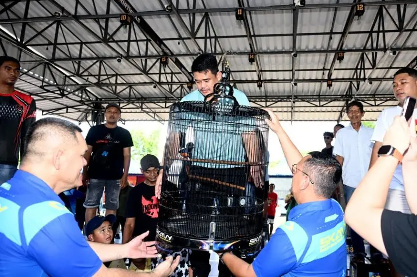 Buka Kontes Burung Berkicau, Bobby Nasution Dorong Sumut Jadi Pusat Kicau Mania Nasional