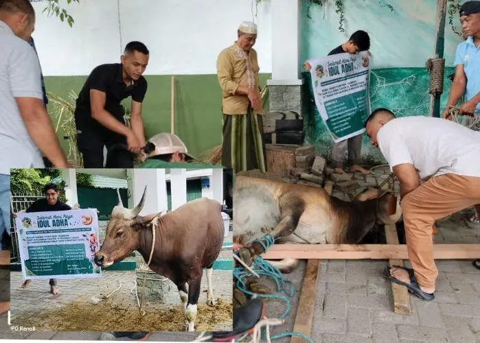 Keluarga Besar DR Rahmat Shah Sembelih 20  Hewan Qurban, 2 di Siantar ZOO