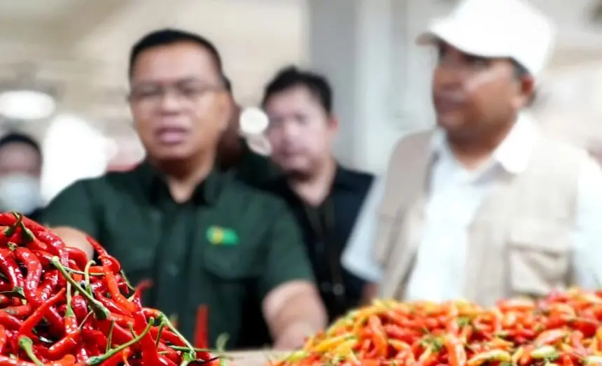 Inflasi Pangan Mei Bergerak Positif, Pemerintah Konsisten Sediakan Akses Pangan dengan Harga Terjangkau