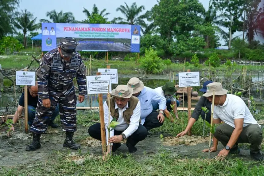 Peringati Hari Lingkungan Hidup Dunia, Pj Sekdaprov Sumut Harapkan Penanaman Pohon dan Mangrove Jadi Solusi Hadapi Perubahan Iklim