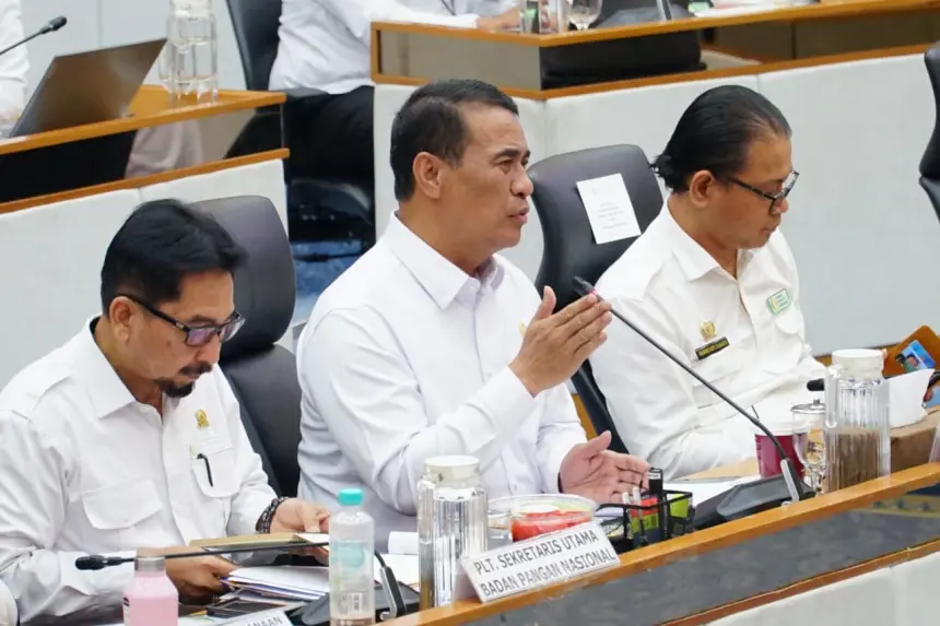 Tok! Komisi IV DPR RI Setujui Tambahan Anggaran Bapanas Rp16,79 Triliun