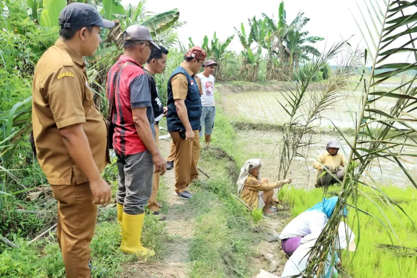 BPBD Simalungun Tinjau 2 Bendungan Rusak di Ujung Padang