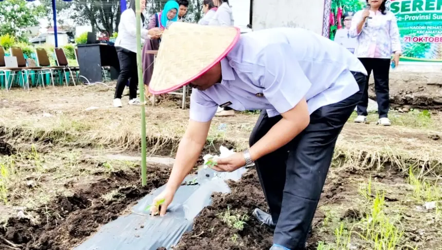 Gerakan Tanam Cabai Serentak, Pemkab Simalungun Dukung Stabilisasi Harga dan Ketahanan Pangan