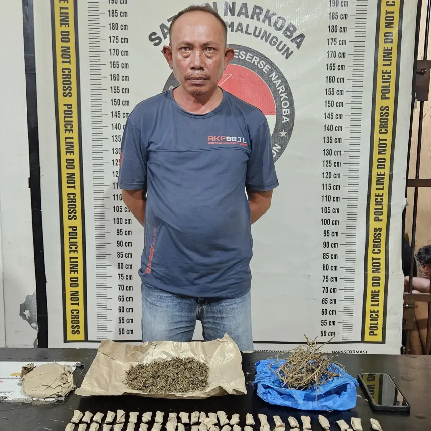 Polsek Gunung Malela Amankan Pengedar Ganja 262 Gram di Sitalasari