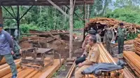 Kayu Sawmill Milik Oknum Dishut Simalungun Untuk Bayar Hutang Ke Masyarakat,  Pangulu Mariah Dolok Minta Tak Dibawa Dinas Kehutanan