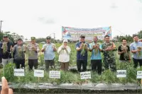 Peminjaman Alsintan Gratis, Bawang Petani Beringin Diserap BUMD