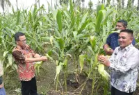 Kutalimbaru Akan Jadi Pusat Inovasi Teknologi