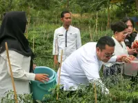 Pertanian Cabai Petani, Upaya Mengendalikan Inflasi Daerah