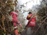 Kemenhut Turunkan Manggala Agni Amankan Jalur Mudik Sumatera dari Karhutla