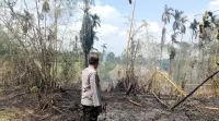 Kebakaran Lahan 4 Hektare di Gunung Malela, Polisi Imbau Warga Waspada Karhutla