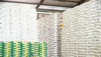 Pemerintah Perkuat Cadangan Pangan Pusat dan Daerah, Kian Kokoh Hadapi El Nino