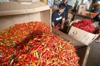 Pasokan Aman, Harga Pangan Melandai di Pasar Induk Tanah Tinggi
