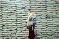 Bapanas: Stok Cadangan Beras Pemerintah 4,6 Juta Ton, Ketersediaan Pangan Pokok Lainnya Juga Surplus dan Aman