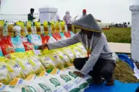 Stok CBP Kuat, Beras SPHP Tersedia di Pasar Tradisional dan Ritel Modern