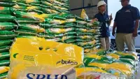 Harga Beras Stabil Ditopang Stok 5 Juta ton CBP Bulog