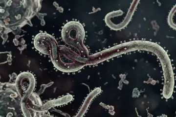WHO Tetapkan Ebola Sebagai PHEIC, Kemenkes Tingkatkan Pengawasan dan Imbau Masyarakat Tetap Waspada
