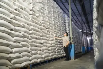 Kepala Bapanas Amran: Hadapi El Nino, Stok Beras Kita Aman Sampai Mei Tahun Depan