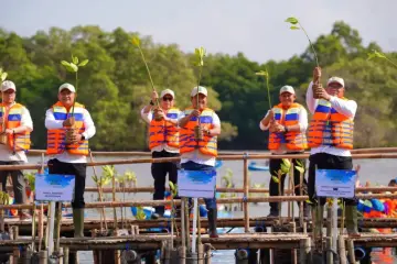 Menteri Trenggono: Rehabilitasi Mangrove Topang Produktivitas Perikanan &amp; Ketahanan Pangan