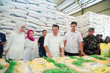 Beras Premium Tidak Langka, Pemerintah Upayakan Keseimbangan dengan Program Intervensi