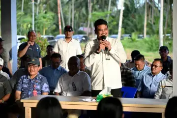 Gubernur Bobby Nasution Siapkan Rumah Produksi Kelapa di Nias Utara