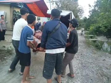 Seorang Remaja Tewas Tersengat Listrik saat Memanen Sawit di PTPN IV Marihat