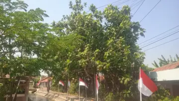 HIPMI Kendal: Kawasan Pantura Perlu Penguatan 'Sukunisasi'