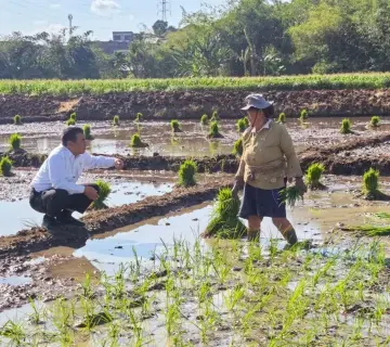 NTP Tembus Level Tertinggi 129,19, Gabah dan Kelapa Sawit Jadi Pendorong Utama