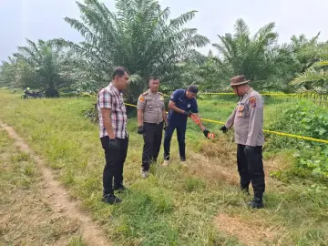 Wanita Tewas di Kebun Sawit Simalungun, Polisi Temukan Racun Rumput