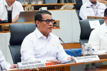 Bapanas Pastikan Pasokan Beras Tetap Terjaga, Bulog Diminta Perkuat Pasokan Premium