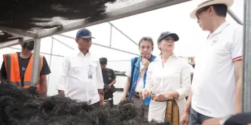KKP – UNDP Dorong Peningkatan Produksi dan Hilirisasi Rumput Laut Gracilaria di Sidoarjo