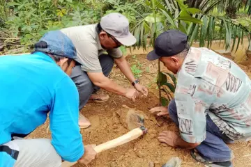 Pemkab Tapteng Lakukan Penghijauan dan Bagikan Masker di Desa Lubuk Ampolu
