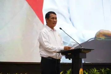 Pemerintah Jamin Serapan Jagung Petani